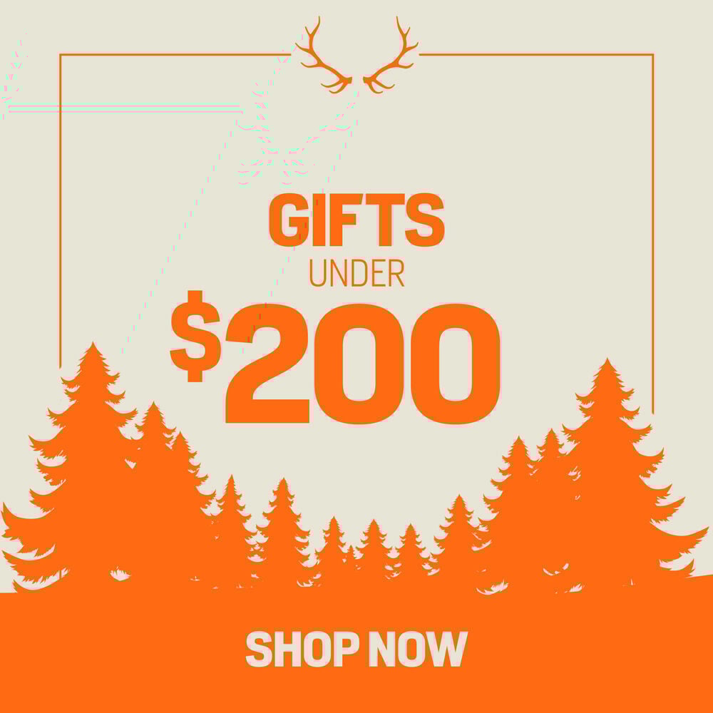 Gifts Under $200